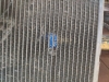 IMG-20190620-WA0009